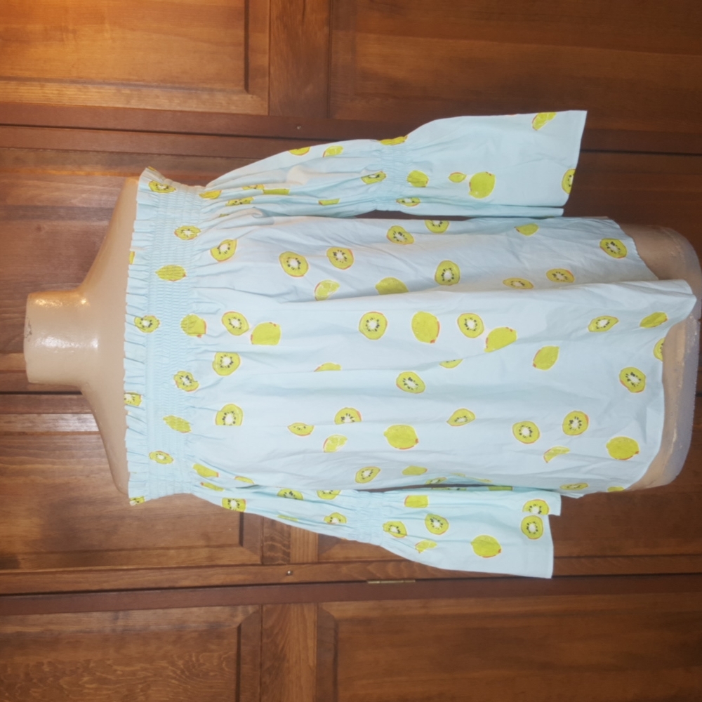 Tyler Boe NWOT Whimsical Kiwi Poplin Top Sz S